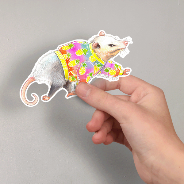 Photo of a hand holding a sticker of an illustration of an opossum wearing a jacket with a pineapple print.